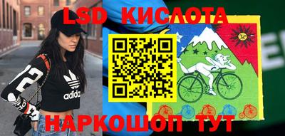 стафф Заводоуковск