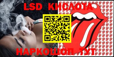 стафф Заводоуковск