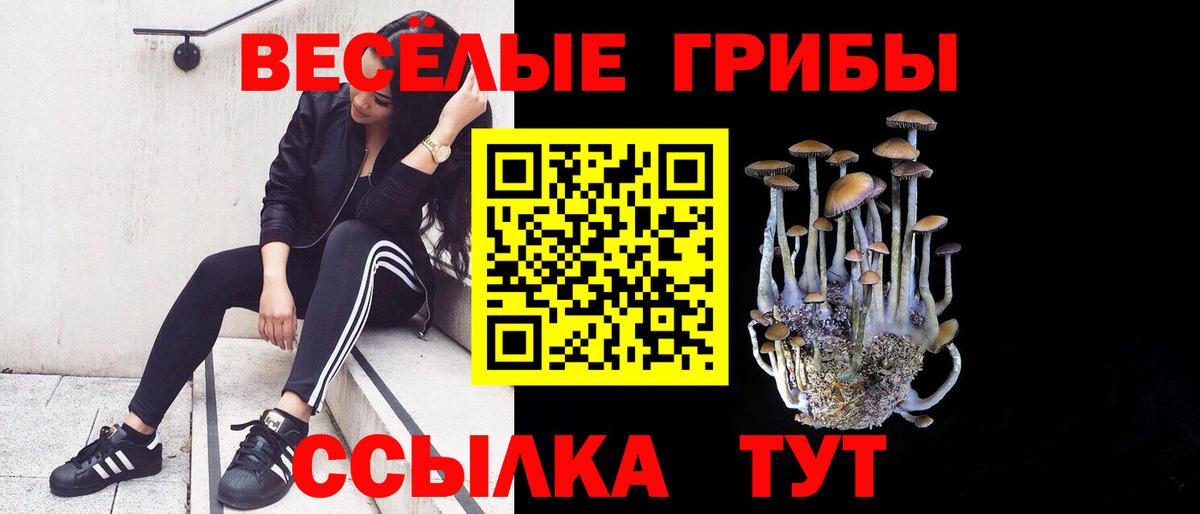 Галлюциногенные грибы мицелий Королёв