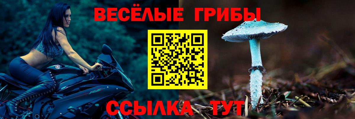 Псилоцибиновые грибы мухоморы  Вход с VPN  Королёв  Галлюциногенные грибы ЛСД 